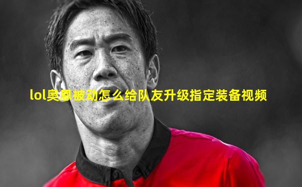 lol奥恩被动怎么给队友升级指定装备视频