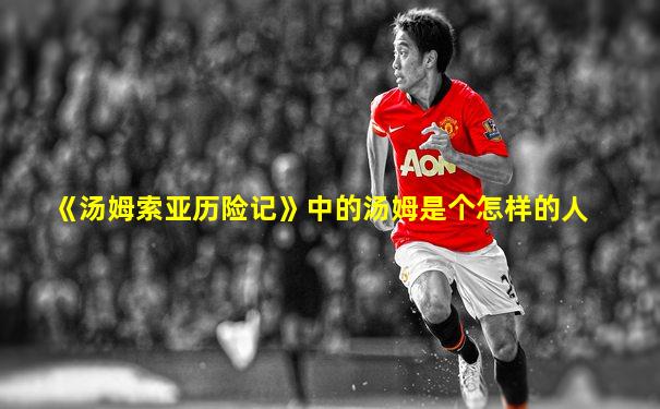 《汤姆索亚历险记》中的汤姆是个怎样的人