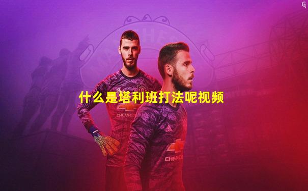 什么是塔利班打法呢视频