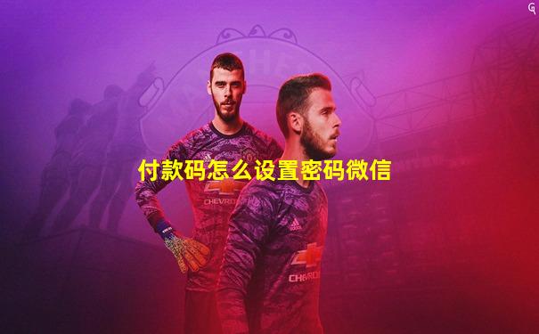 付款码怎么设置密码微信