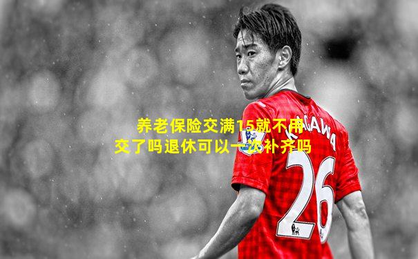 养老保险交满15就不用交了吗退休可以一次补齐吗