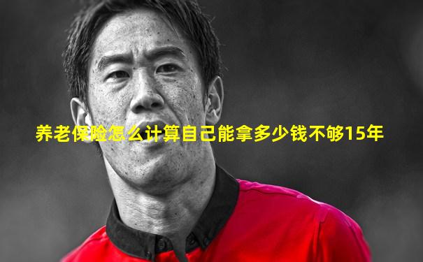 养老保险怎么计算自己能拿多少钱不够15年
