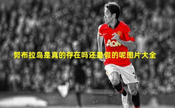 努布拉岛是真的存在吗还是假的呢图片大全