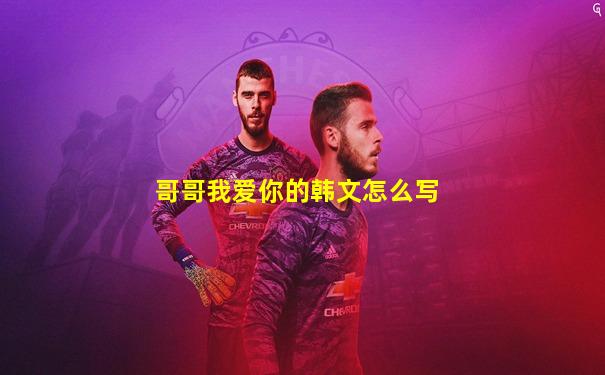 哥哥我爱你的韩文怎么写