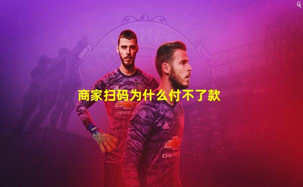 商家扫码为什么付不了款