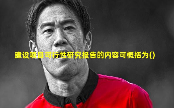 建设项目可行性研究报告的内容可概括为()