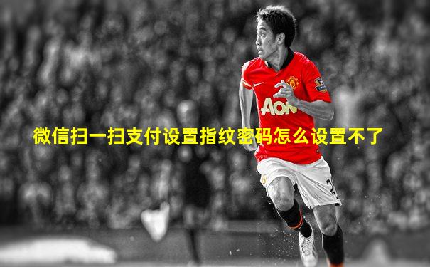 微信扫一扫支付设置指纹密码怎么设置不了