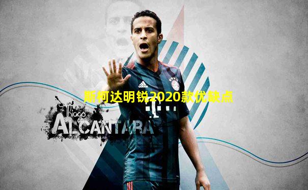 斯柯达明锐2020款优缺点