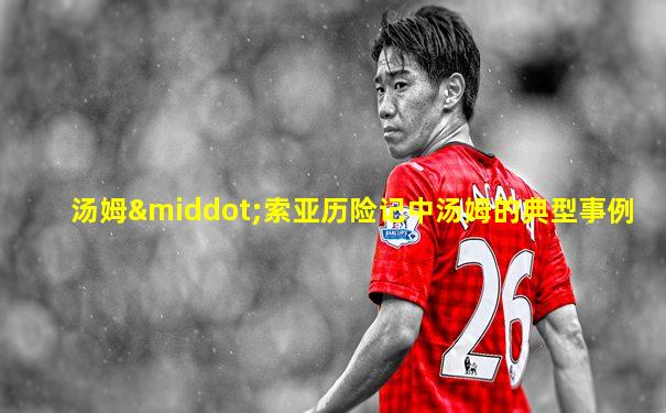汤姆·索亚历险记中汤姆的典型事例
