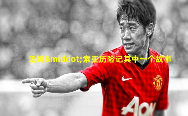 汤姆·索亚历险记其中一个故事