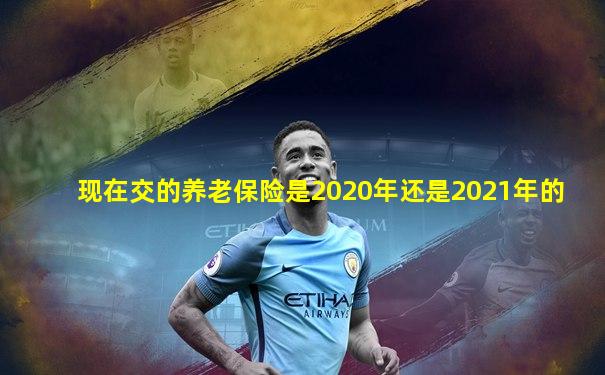 现在交的养老保险是2020年还是2021年的