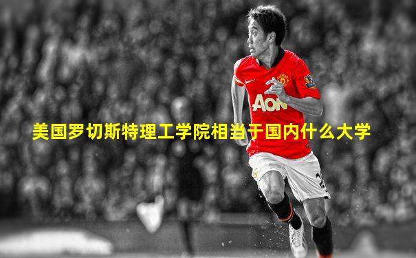 美国罗切斯特理工学院相当于国内什么大学