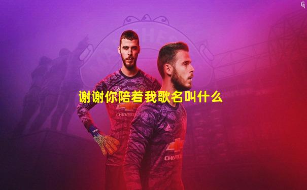 谢谢你陪着我歌名叫什么