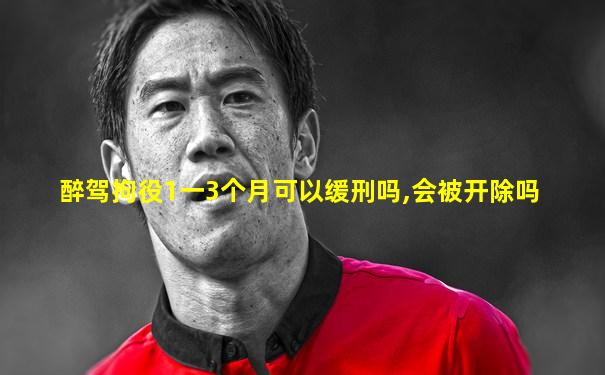 醉驾拘役1一3个月可以缓刑吗,会被开除吗