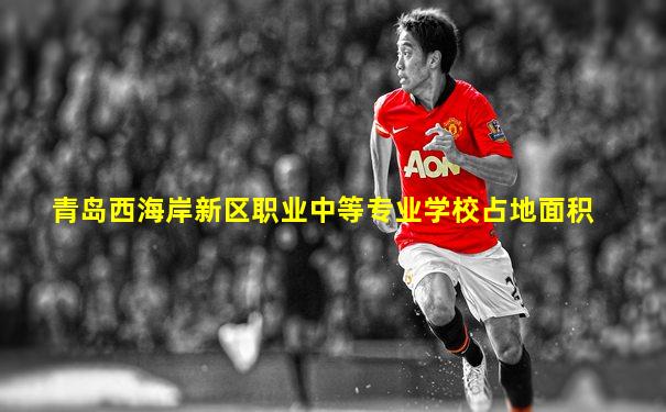 青岛西海岸新区职业中等专业学校占地面积