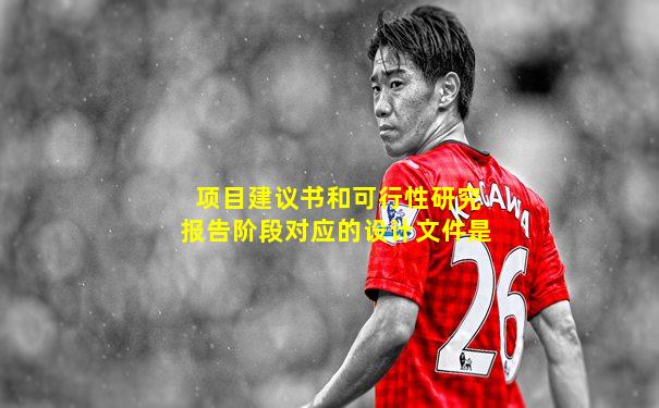 项目建议书和可行性研究报告阶段对应的设计文件是