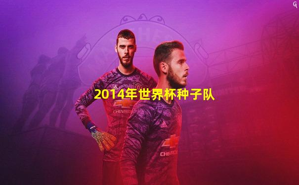 2014年世界杯种子队