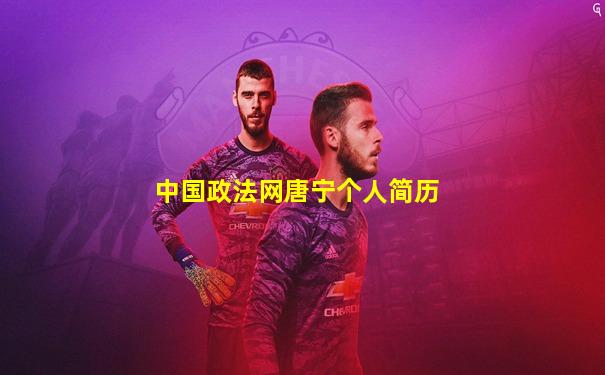中国政法网唐宁个人简历