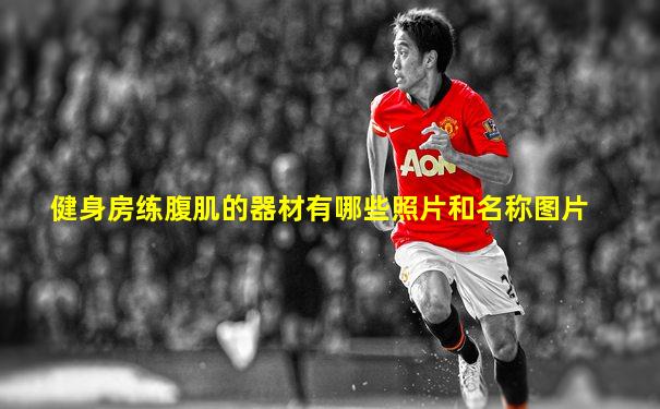 健身房练腹肌的器材有哪些照片和名称图片