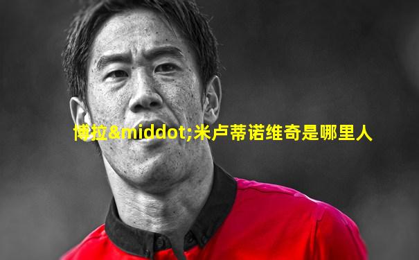 博拉·米卢蒂诺维奇是哪里人