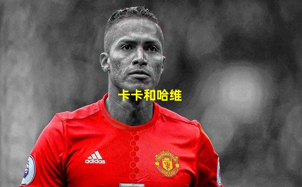 卡卡和哈维