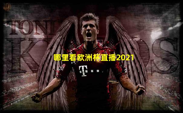 哪里看欧洲杯直播2021