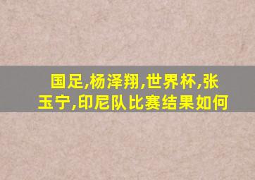 国足,杨泽翔,世界杯,张玉宁,印尼队比赛结果如何