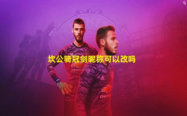 坎公骑冠剑昵称可以改吗