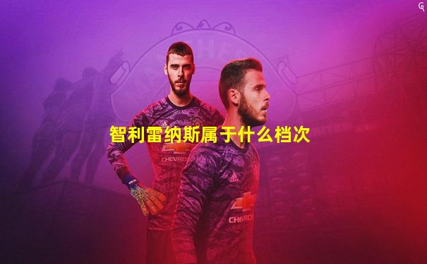 智利雷纳斯属于什么档次