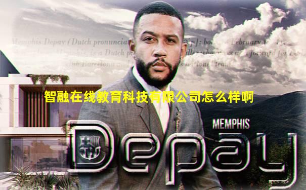 智融在线教育科技有限公司怎么样啊