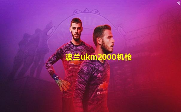 波兰ukm2000机枪