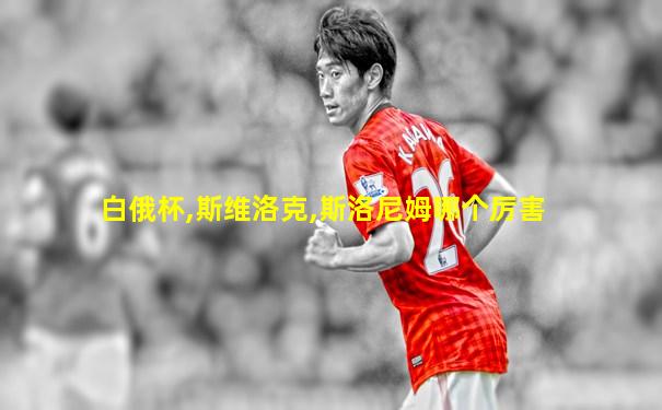 白俄杯,斯维洛克,斯洛尼姆哪个厉害