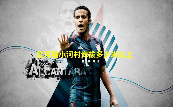 红河县小河村海拔多少米以上
