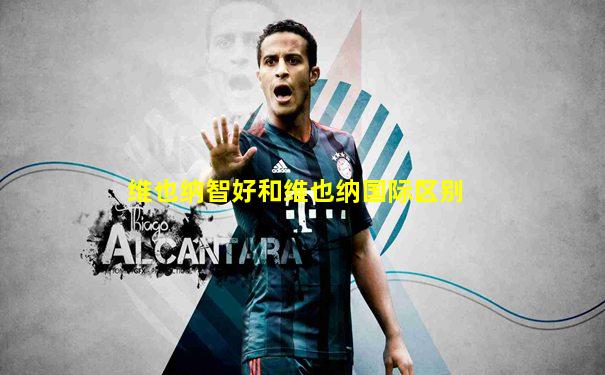 维也纳智好和维也纳国际区别