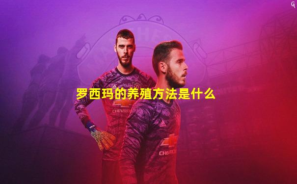 罗西玛的养殖方法是什么
