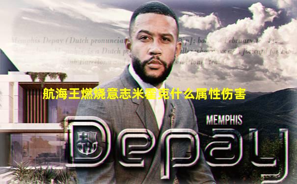 航海王燃烧意志米霍克什么属性伤害
