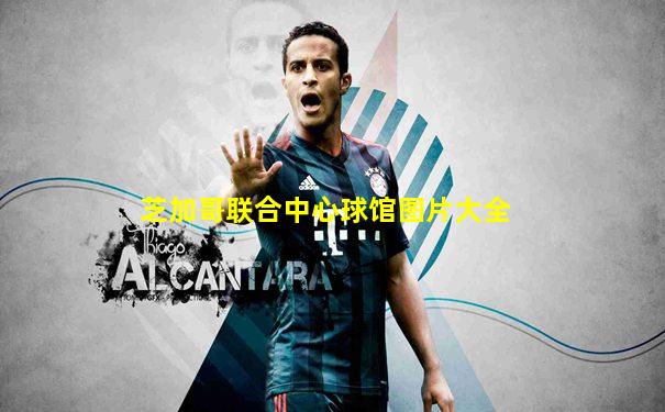 芝加哥联合中心球馆图片大全