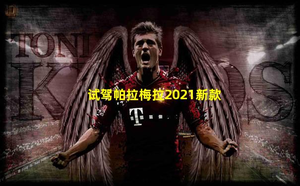 试驾帕拉梅拉2021新款