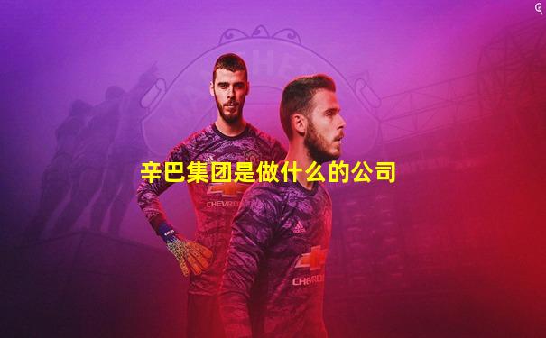 辛巴集团是做什么的公司