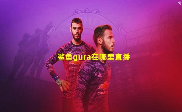 鲨鱼gura在哪里直播